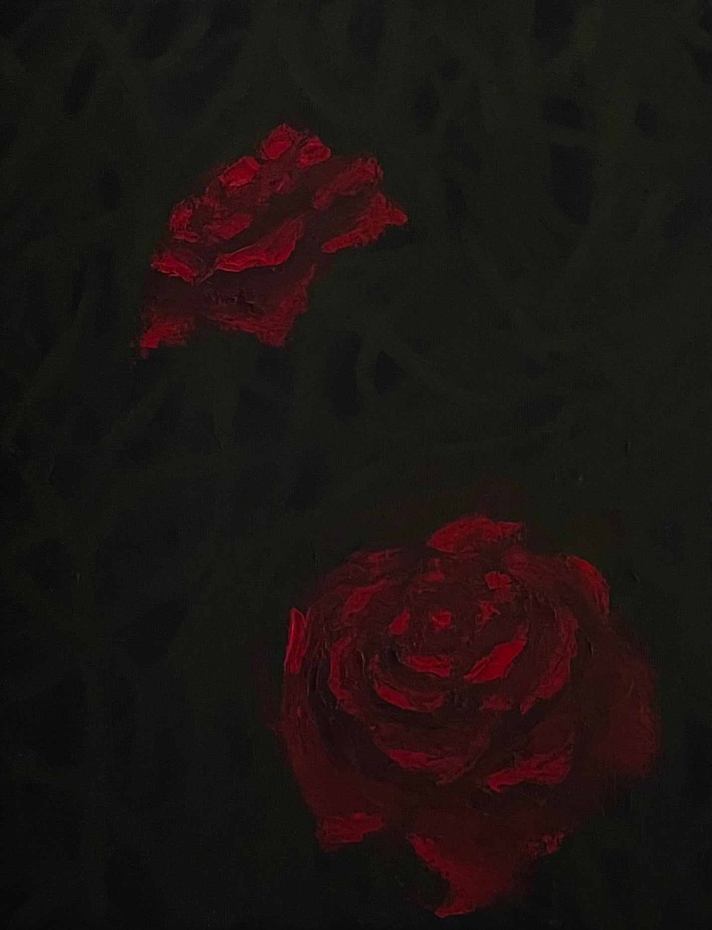 Two roses in the dark