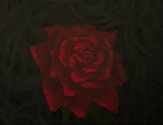 Rose in the dark