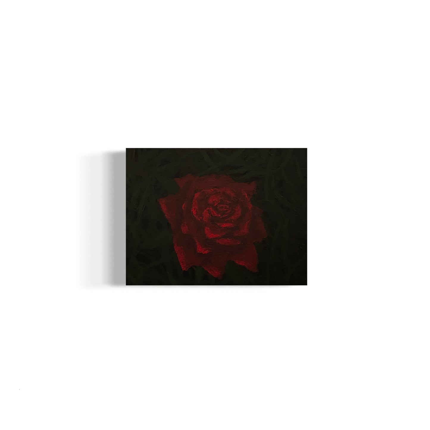 Rose in the dark