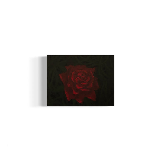 Rose in the dark