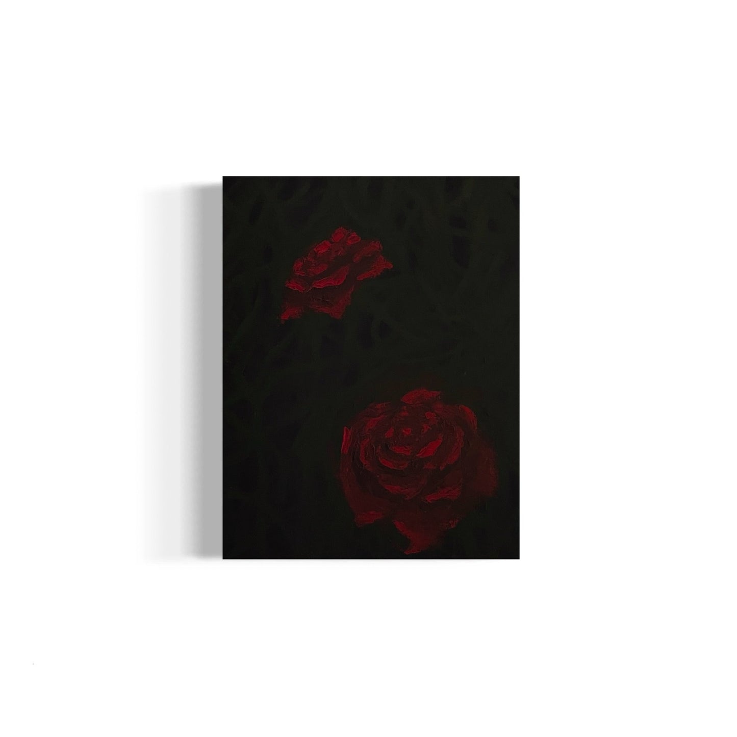 Two roses in the dark